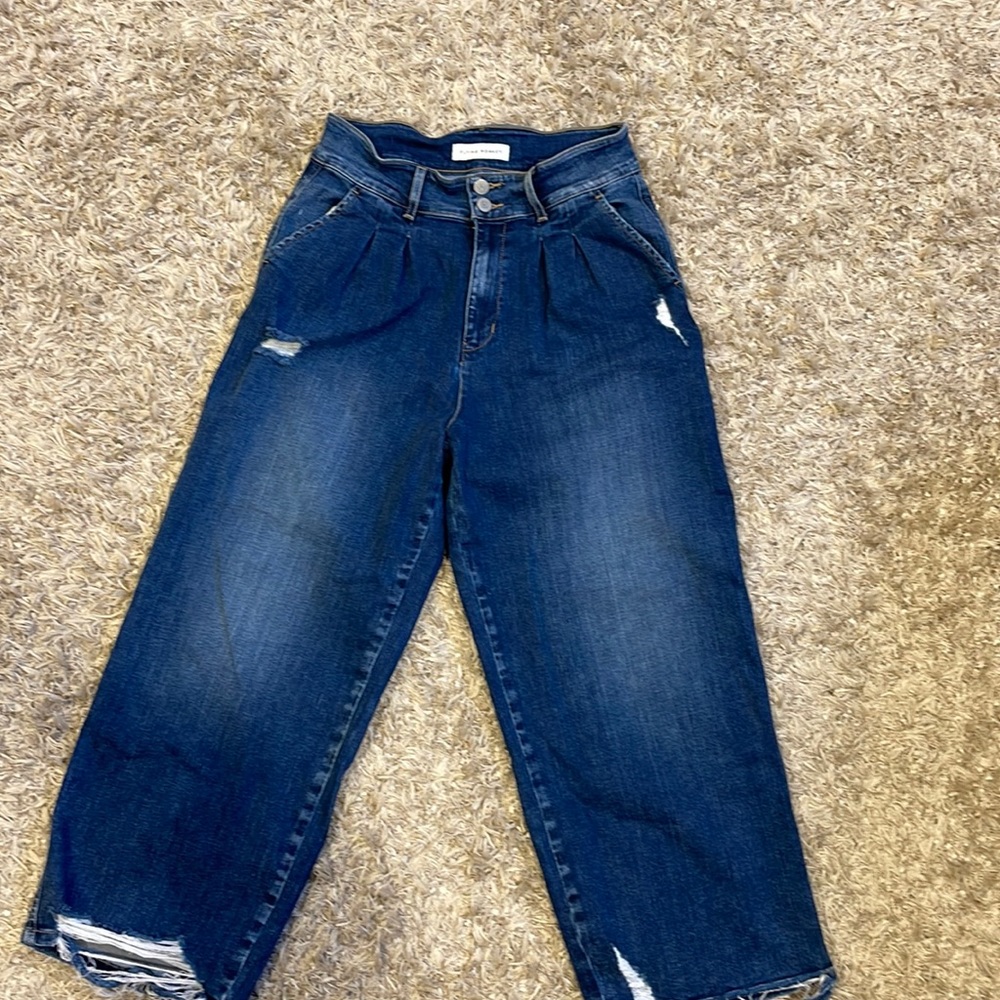 Flying monkey high rise wide crop Jean